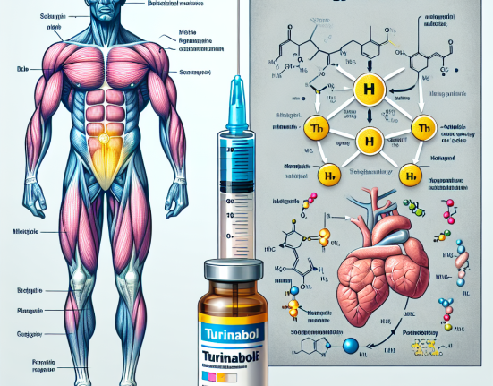 Turinabol iniettabile e la sua influenza sul metabolismo energetico